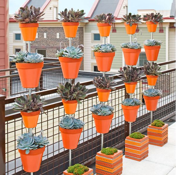 Plantas en balcones pequeños.