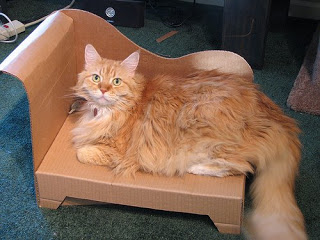 sofa de carton para gatos