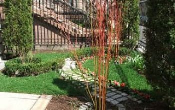 Diseñar y crear un jardín. Tipos de jardín según el clima.