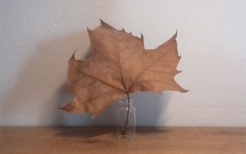 Decorar con una hoja seca, simplemente.