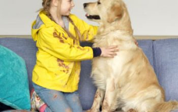 Aquaclean: un tejido que te sorprenderá.