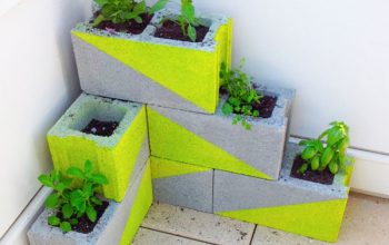 Una idea barata para decorar la terraza.