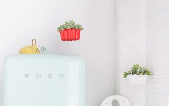 Genial idea para tener plantas en la cocina.