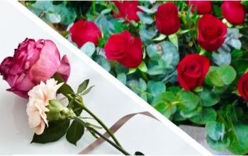 ¿Cómo mantener las flores más tiempo?