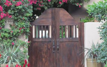 5 trepadoras que me gustan para decorar exteriores.