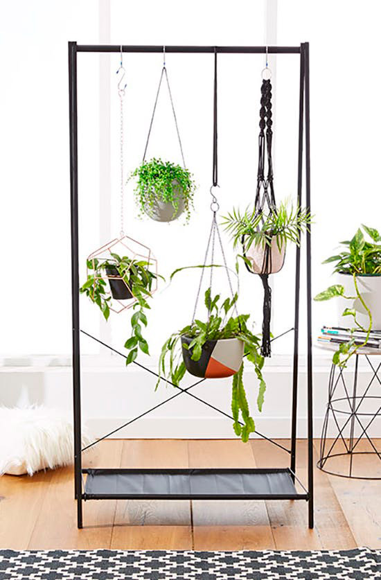 Idea para decorar con plantas colgantes
